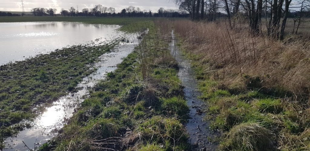 Flooded footpath next to a wet field in March