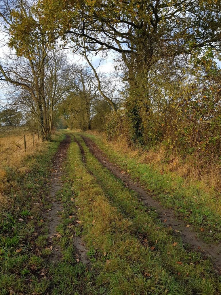 Autumn colour on a rural track in October