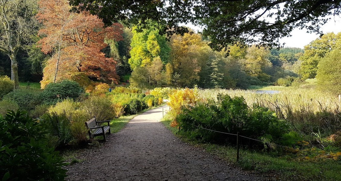 Stourhead Autumn season path and bench