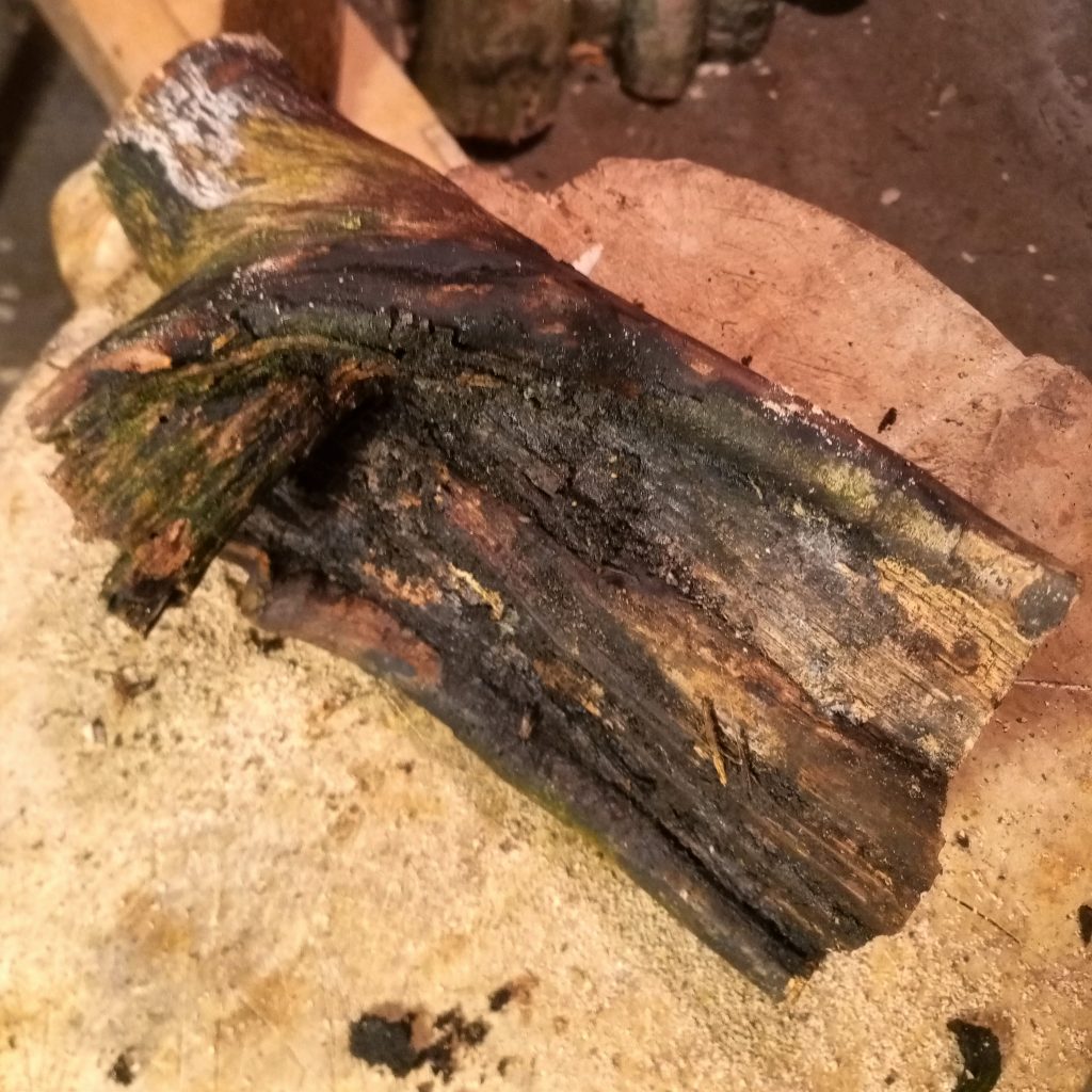 a log slightly decomposed on the outside that is to become a spoon